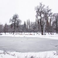 Зимний парк :: Canon PowerShot SX510 HS