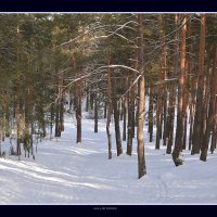 за окном  +32,нам душно,жарко(мы люди нам не угодишь) :: Юрий Ефимов