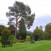 Blair Castle - Белый замок :: Галина 