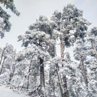 Зима в горах :: Юлия Легкая