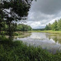 Абрамцевские пруды :: Марина Птичка