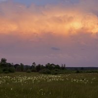 закатное облако :: оксана 