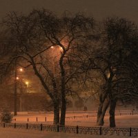 снег :: Евгений Тарасов 