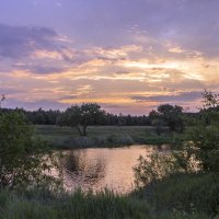 в сиреневых тонах :: оксана 