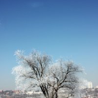 Зимний день :: Novikov38 Новиков