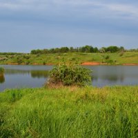 Шахты. Цветёт шиповник на правом берегу Грушевского водохранилища. :: Пётр Чернега