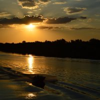 Дорожка на воде. :: Виктор 