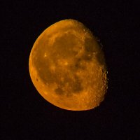 Луна :: Петр Беляков