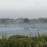 Утро на озере Ревзань. :: Владимир Безбородов