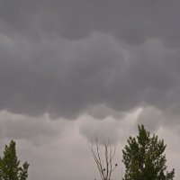 Дождевые облака. :: сергей 
