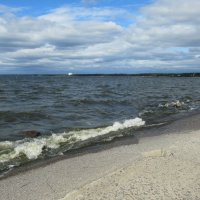 С западной оконечности парка "Дубки" открывается вид на Финский залив :: Елена Павлова (Смолова)