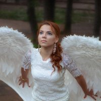 ангел :: Елена Логачева