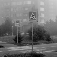город в тумане :: fifa anfisa 
