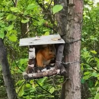 Под крышей дома своего. :: Валентина Богатко 