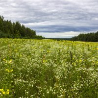 Моя Брянщина :: оксана 