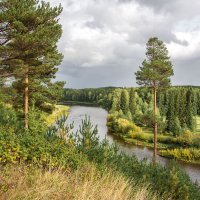 Пейзаж, осенне летний. :: Сергей l