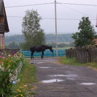 Один. Совсем один. :: Надежда 