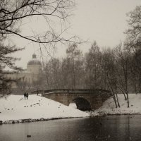 Снежный день... :: Elena Ророva