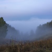 Утренний туман над рекой :: Алексей Сметкин
