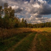 Вот и осень закружила карусель мелодий :: Андрей Дворников