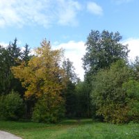Осень в парке :: Наиля 