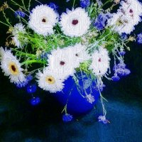 Музыка цветов 99 :: Елена Куприянова 
