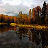 -----------russian autumn---------- :: AL 