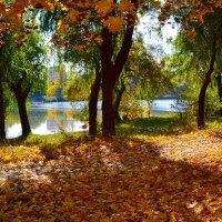 Осенняя палитра парка :: Nina Streapan