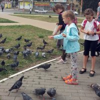 Дети и голуби :: Galina Solovova