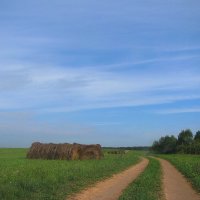 В поле :: Людмила Смородинская