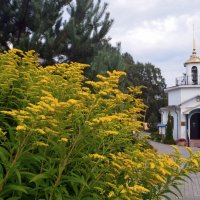 у храма-часовни  Божией  Матери Живоносный Источник :: Галина R...