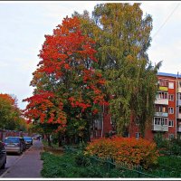 ВЛАДИМИР ПРОВИНЦИАЛЬНЫЙ_2020 :: Валерий Викторович РОГАНОВ-АРЫССКИЙ