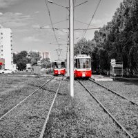 Красный трамвай :: Dmitry i Mary S
