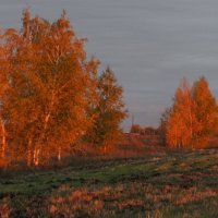 Отражается закат в березках. :: сергей 