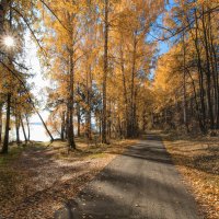 Осенняя дорога :: Vladimbormotov 