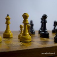 шахматы :: Ринат Засовский