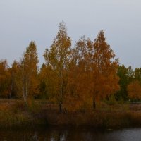 Осень :: Savayr 