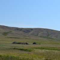 Сенокос в сопках Баянаульской волости... :: Андрей Хлопонин