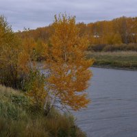 Осенняя речка. :: сергей 