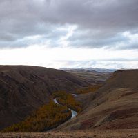 Урочище Кокоря,60 км до границы Монголии :: Ольга Прикуль