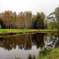 Павловский парк. Долина прудов :: Наталья Герасимова