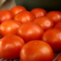 Как чудесно,когда дома много помидоров!!!! :: Лира Цафф