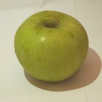Зелёное яблоко :: Александр39 