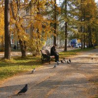 Осень в парке. :: Валерьян Запорожченко