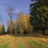 Осенний пейзаж :: Владимир Ефимов