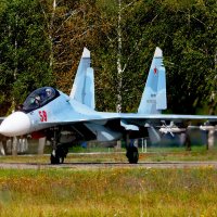 Су-35С рулит на взлёт) :: Анастасия Косякова