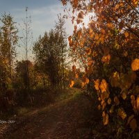 Осенний пейзаж :: Александр Синдерёв