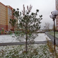 Снег. Начало октября :: Андрей Макурин
