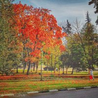 Осенние краски.. :: Алексей Архипов