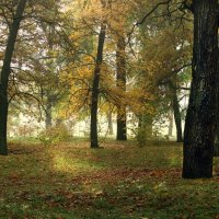 Осень – самое философское время года. :: barsuk lesnoi